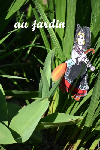 liesele en alsace et dans l'herault (17).JPG