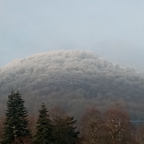 #5 Froid 20260123.jpg