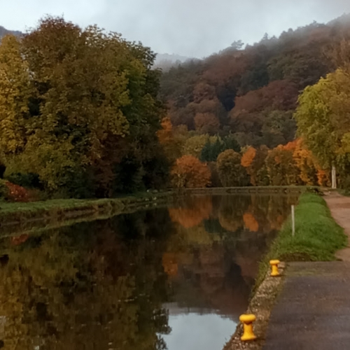 #22 Couleurs d'automne.jpg