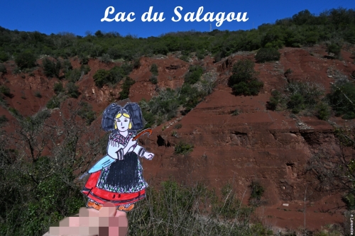 liesele en alsace et dans l'herault (20).JPG