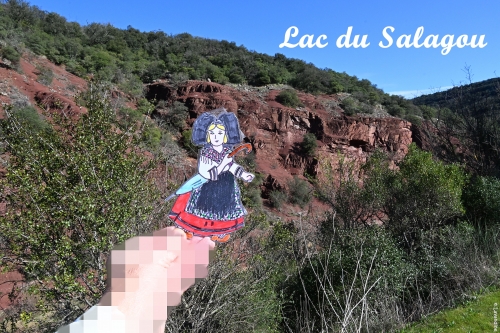 liesele en alsace et dans l'herault (21).JPG