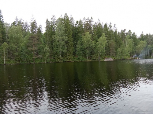 2025 06 05 Suède Lac.jpg