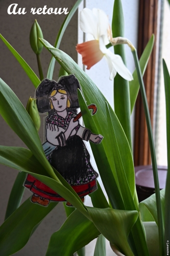 liesele en alsace et dans l'herault (13).JPG