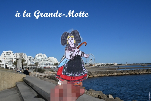 liesele en alsace et dans l'herault (18).JPG