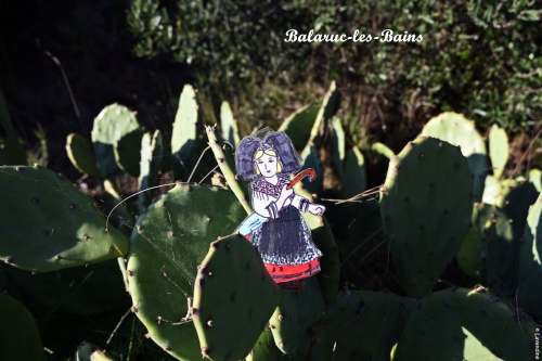 liesele en alsace et dans l'herault (4).JPG