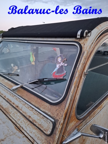 liesele en alsace et dans l'herault (36).jpg