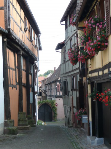 Alsace.JPG