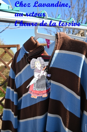 liesele en alsace et dans l'herault (15).JPG