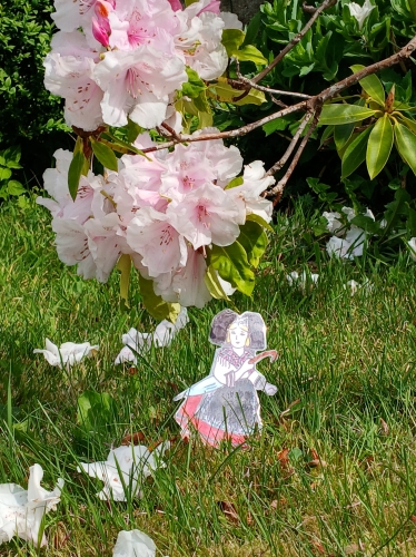 20260508_jardin.jpg