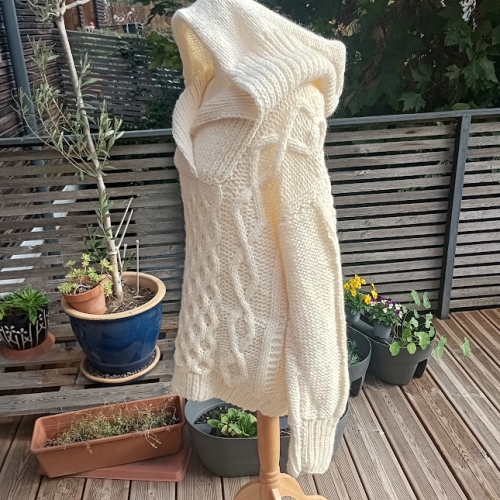 Pull Hoodie irlandais Vintage (4).jpg