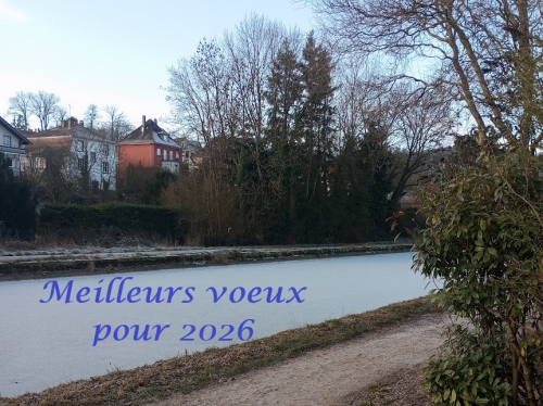 Meilleurs voeux 2026.jpg